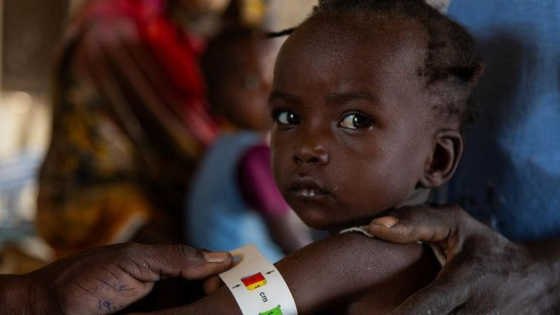 Services de base pâtisserie guide blog bannière (4)