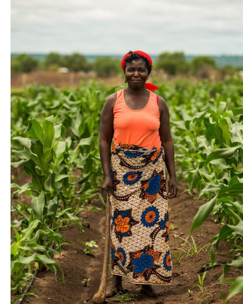 design sans titre (7)